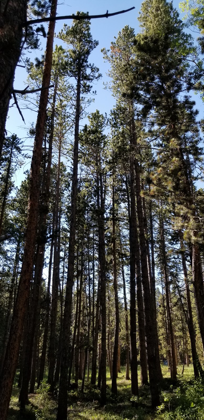 Lost Cabin Campground