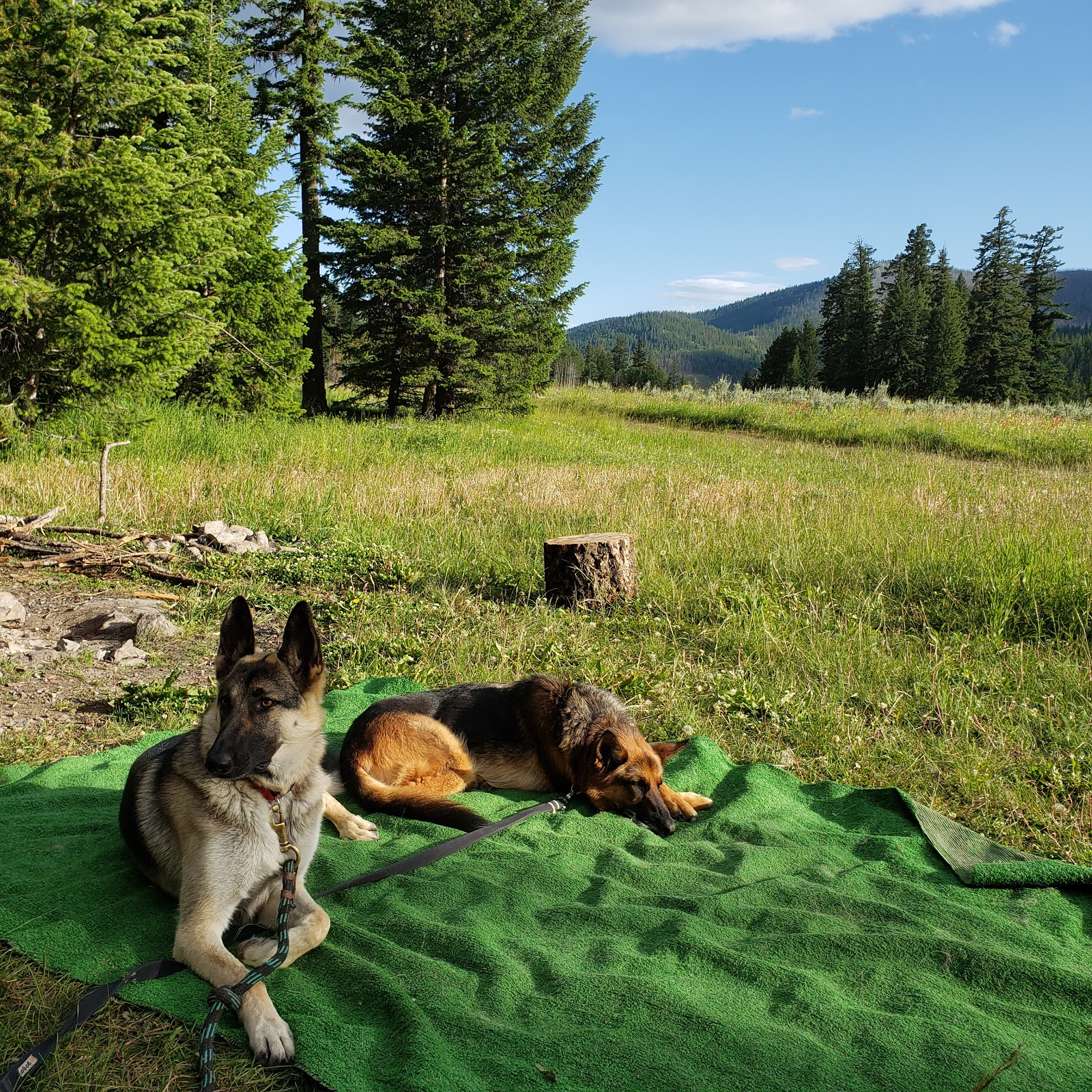 Salmon Meadows Campground