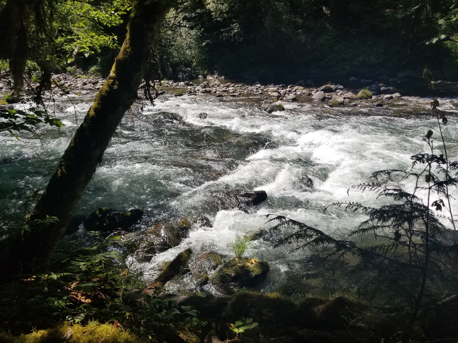 Whispering Falls Campground