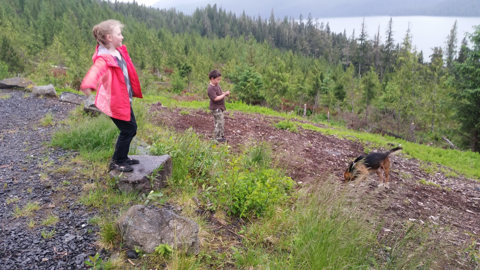 Nemo Campsites NF Campground