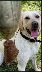 Allen Ranch Campground