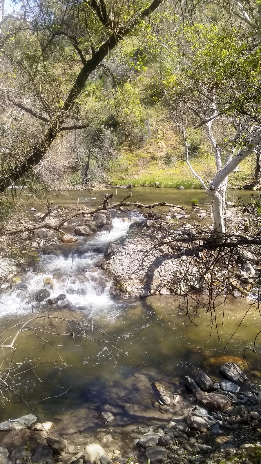 Mill Flat Campground