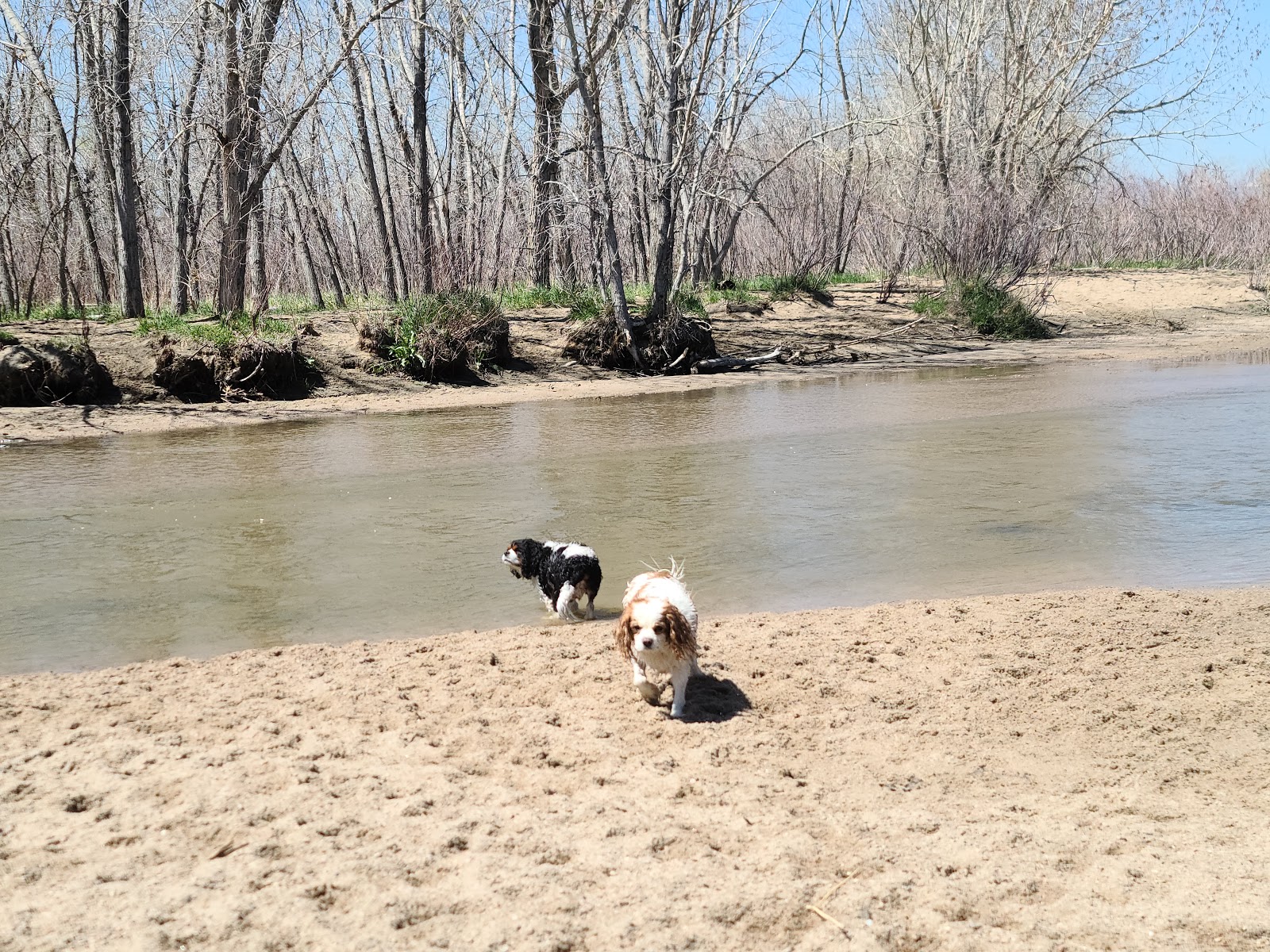 Cherry Creek State Park- Off Leash Dog Area