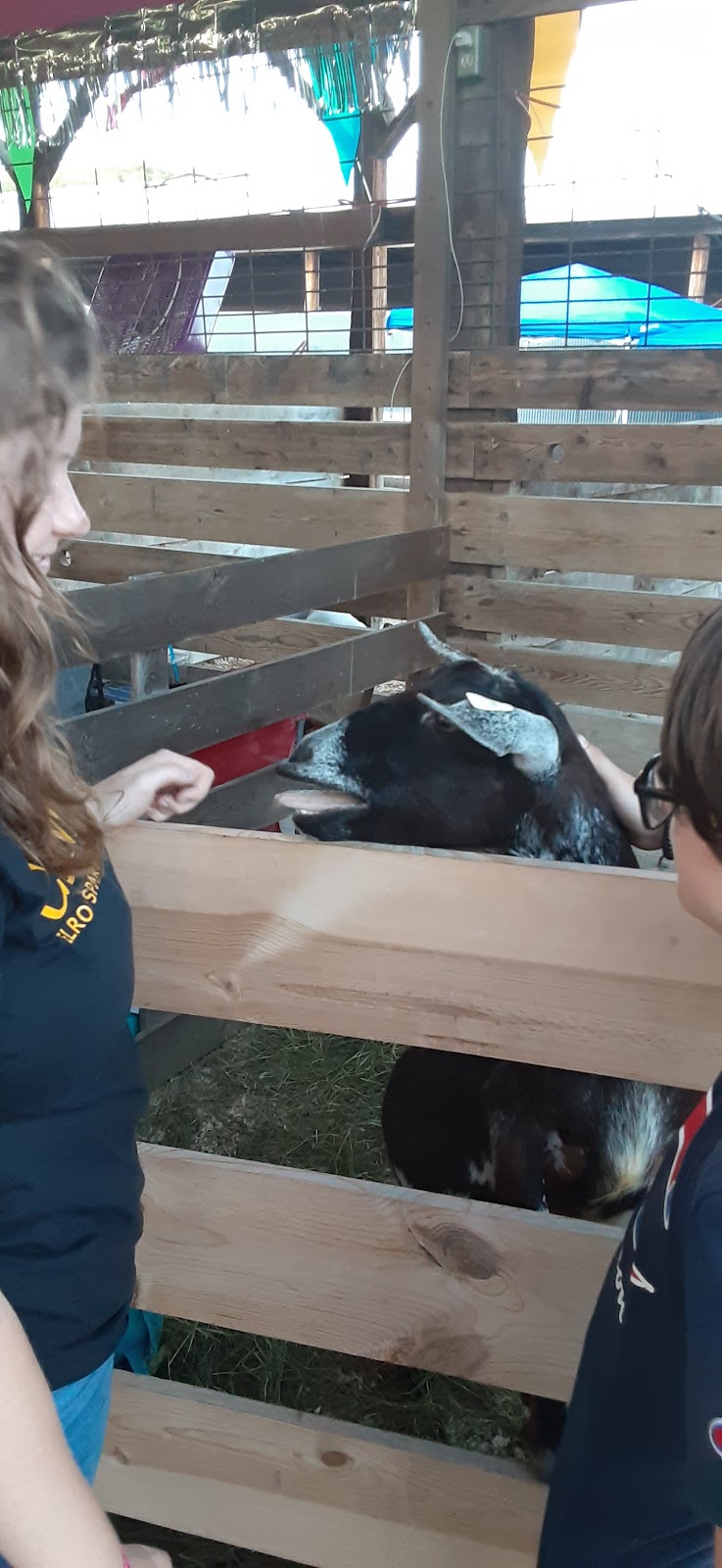 Elroy Fair at Schultz park