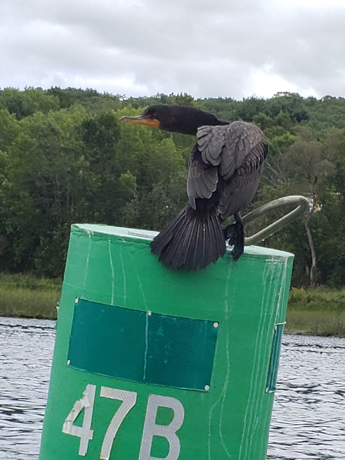 Foggy Bottom campground and marina