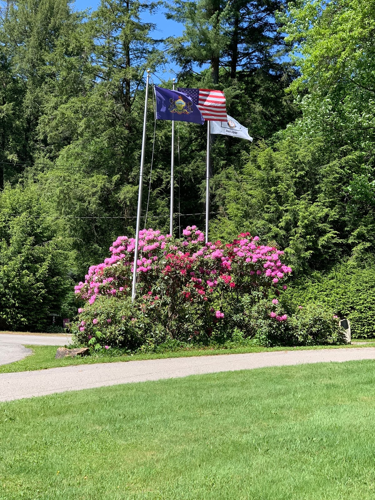 Penn Wood Airstream Park