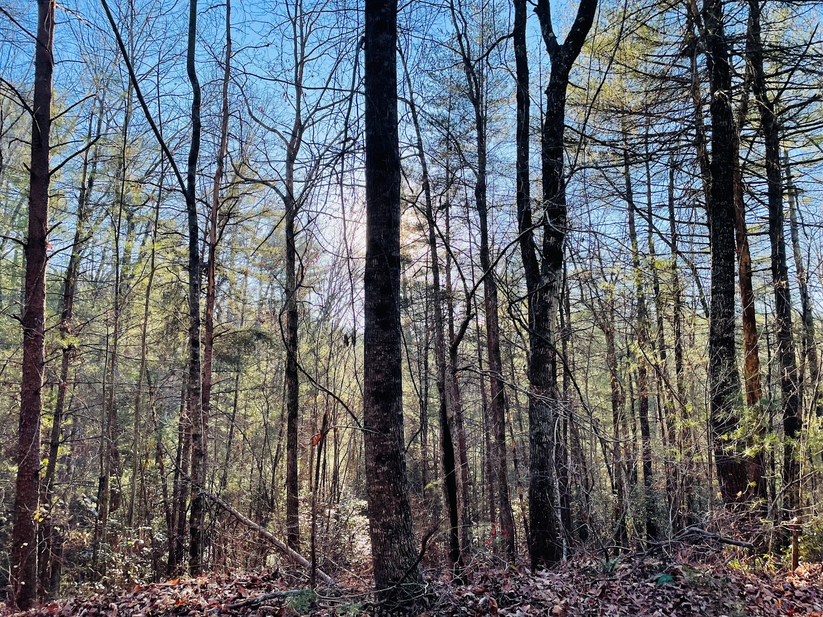 Wildcat Creek Campground