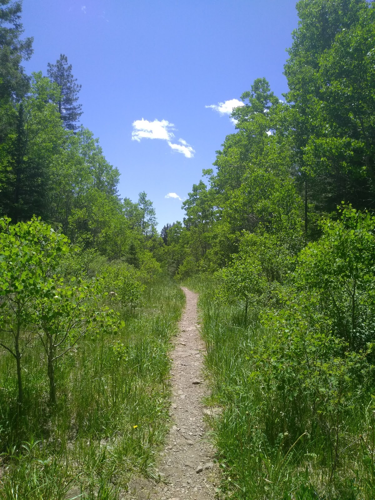 Holy Ghost Group Area Camping