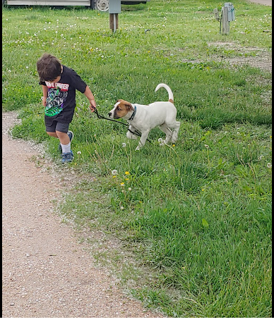 Cottonwood Grove Campground