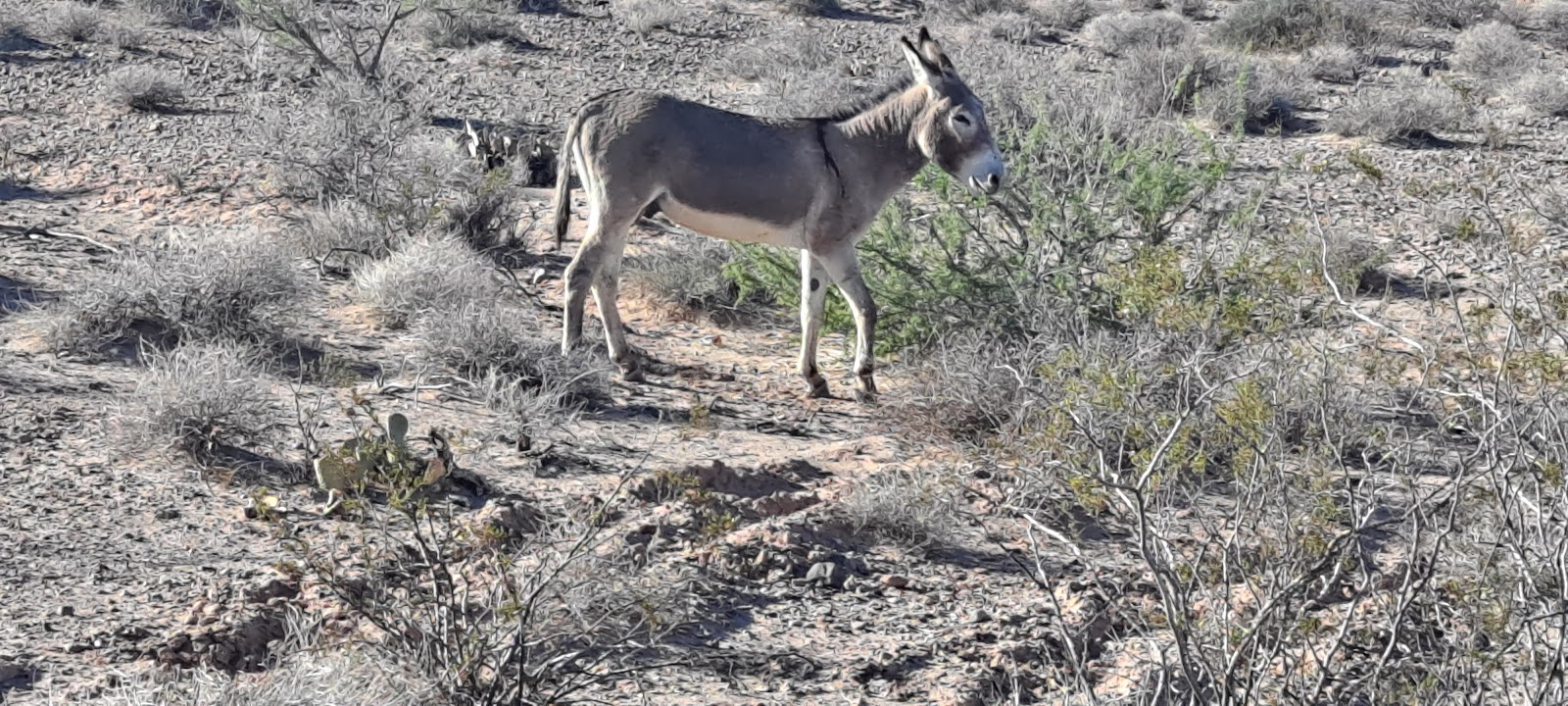 Robbins Nest Mobile Home Village