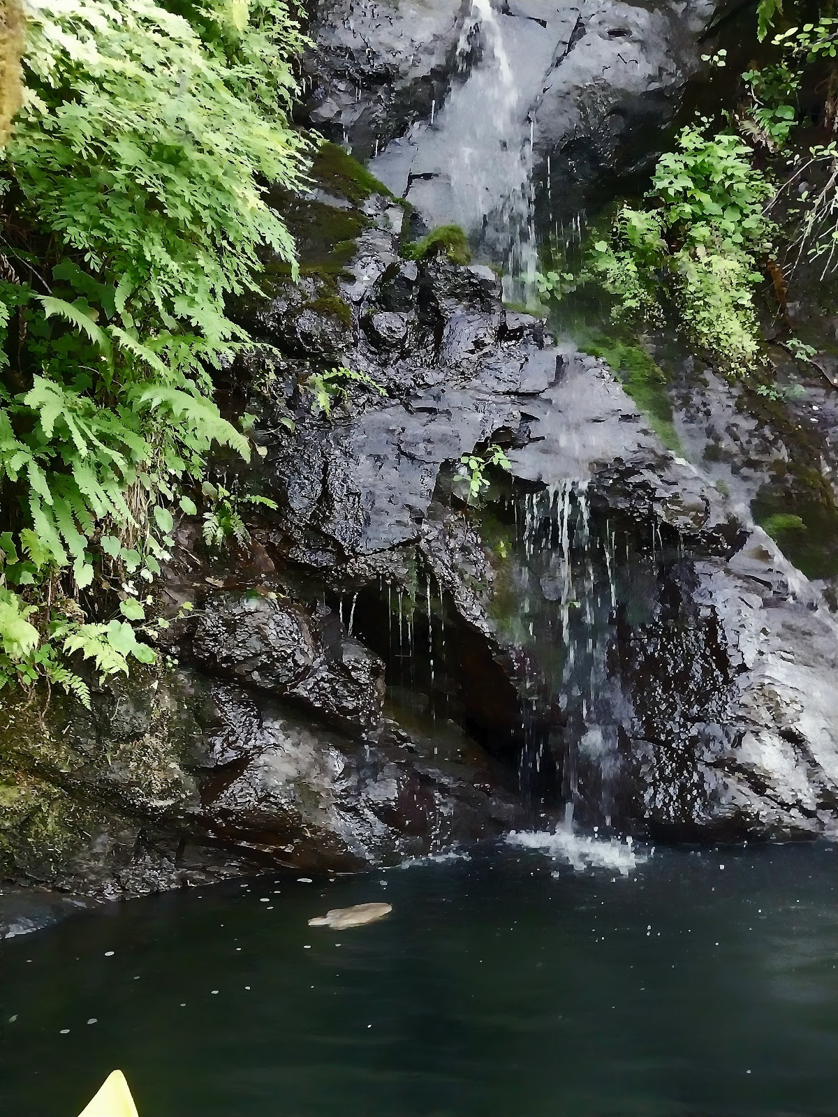 Cresap Bay Park Pacificorp