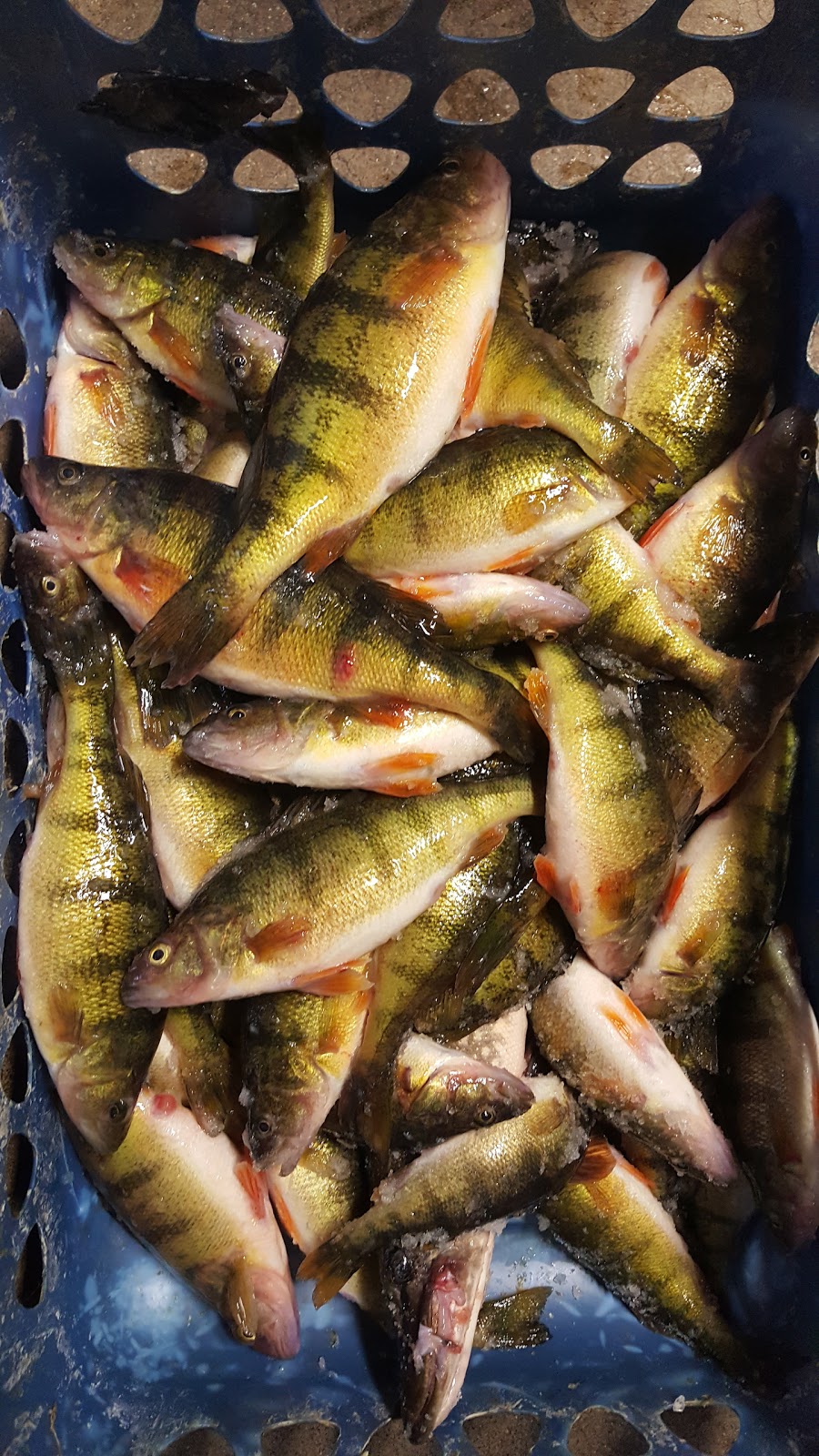 Nodak Lodge & Resort