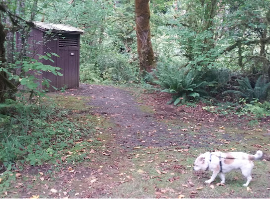 Winston Creek Campground