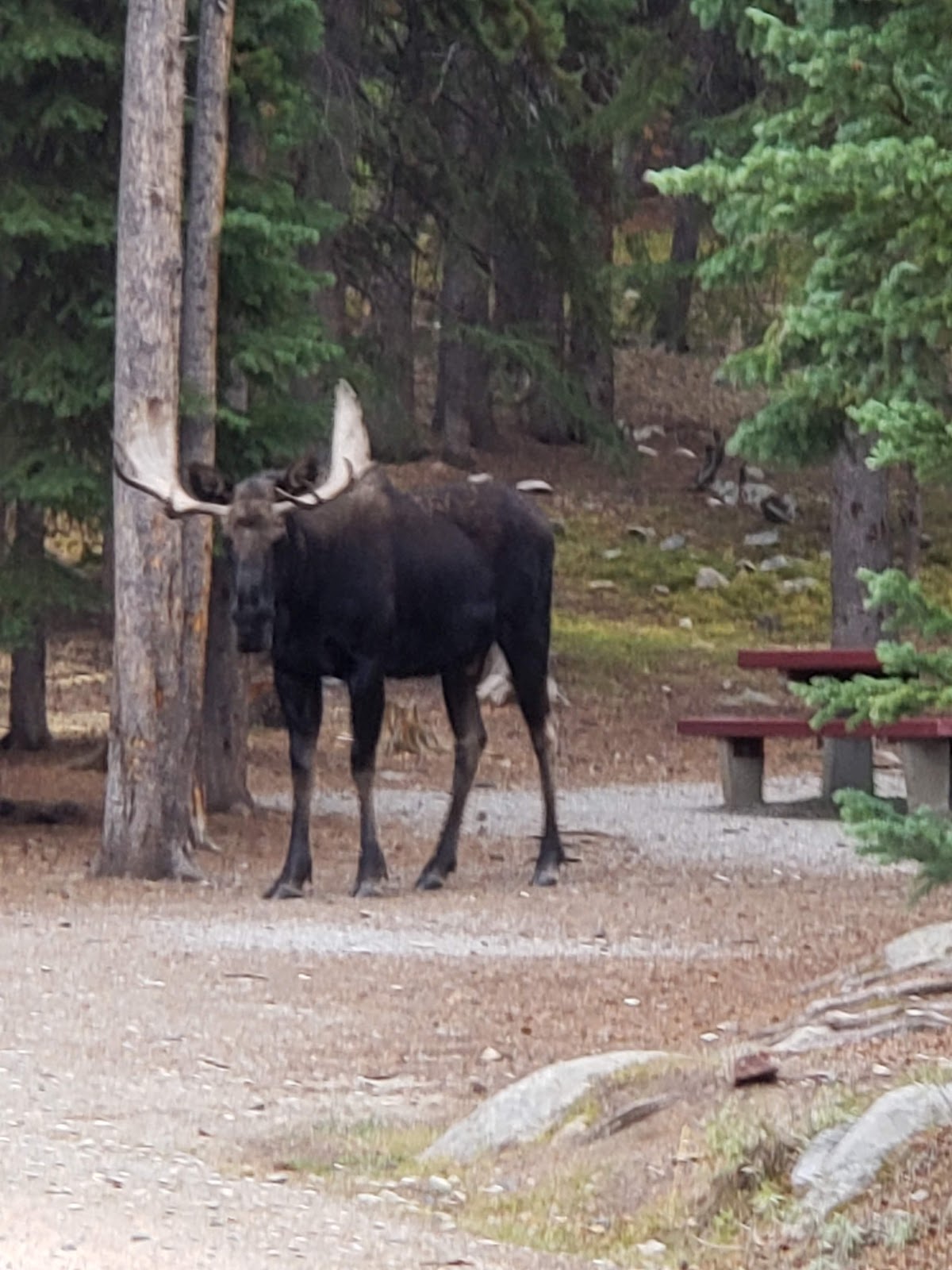 West Tensleep Lake Campground