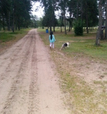 River Park Campgrounds and Pond