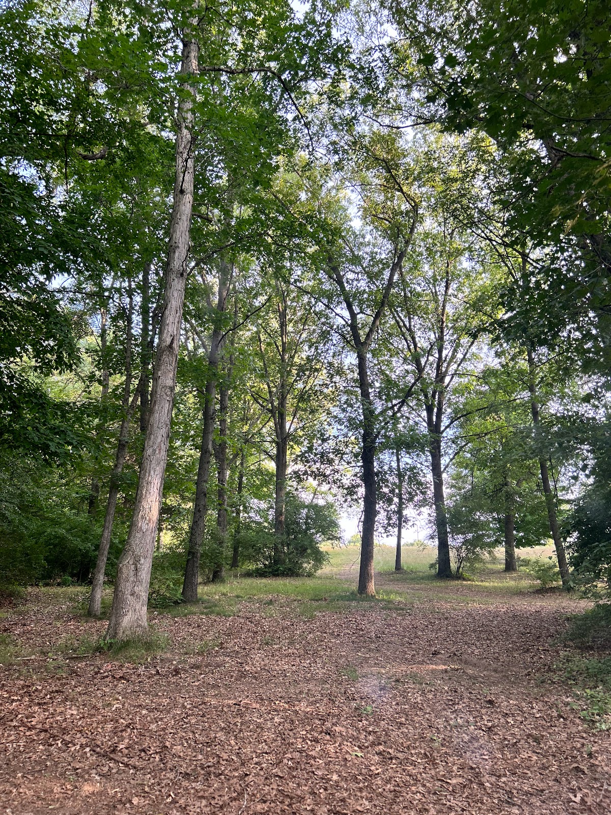 Whispering Waters Campground and Canoe Livery