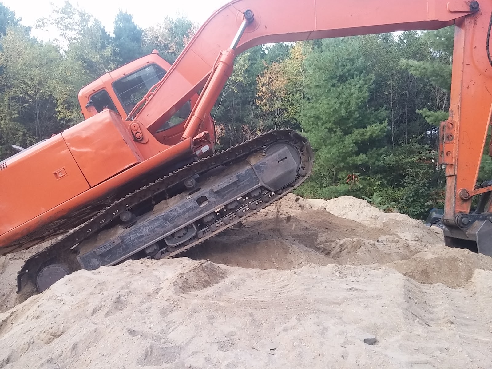 Shannon's Saco River Sanctuary