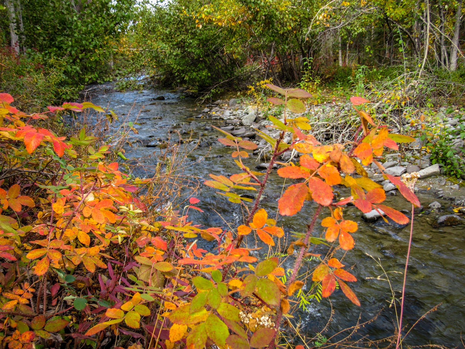 Squirrel Creek State Recreation Site