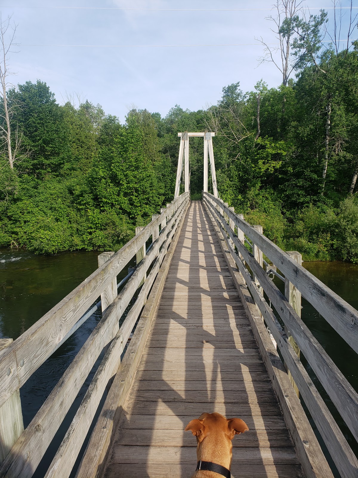 Seaton Creek NF Campground