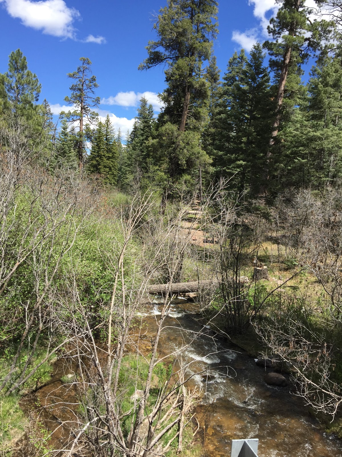 Rio Puerco Campground