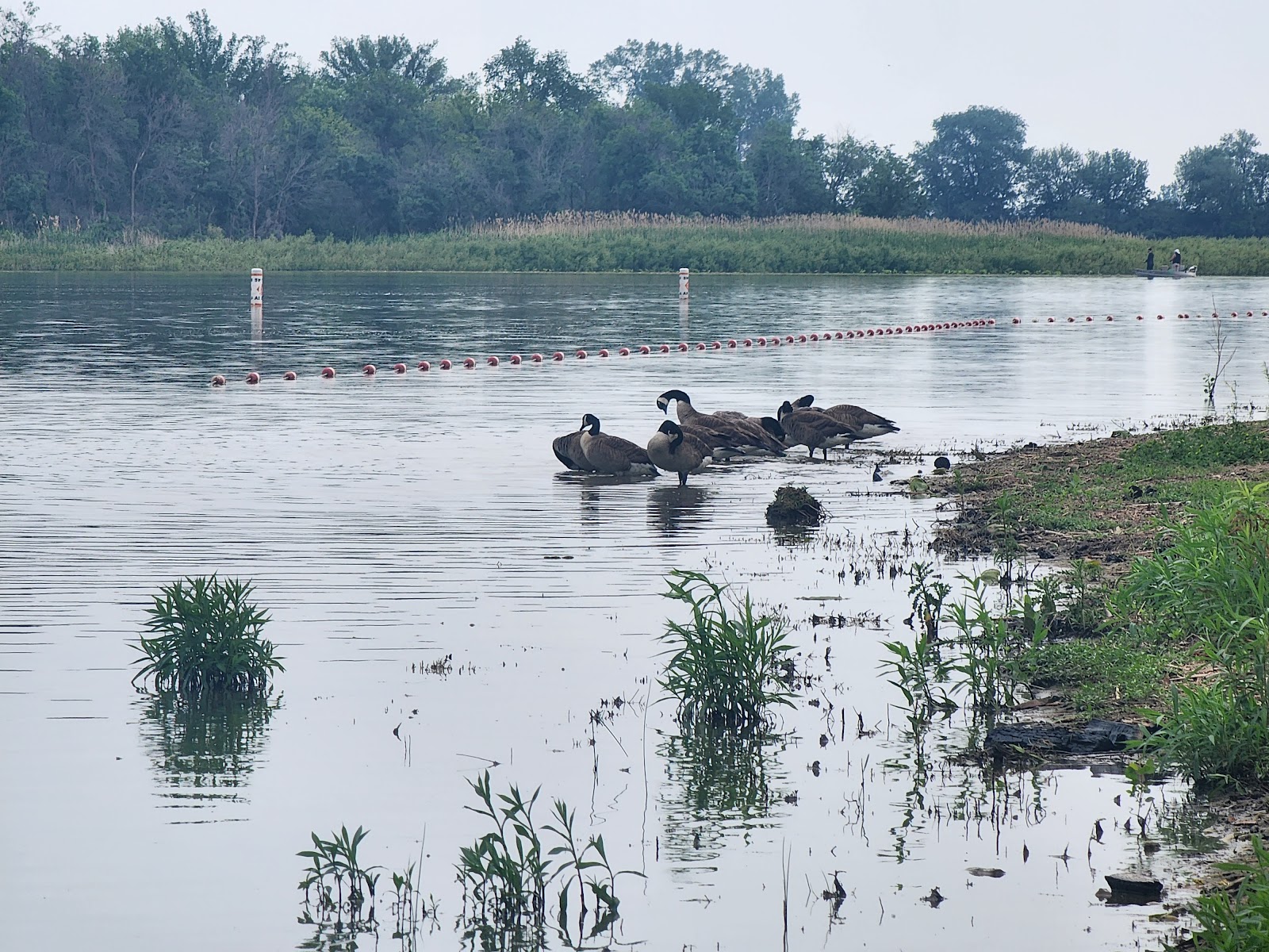 Brown's Lake-Bigelow Park
