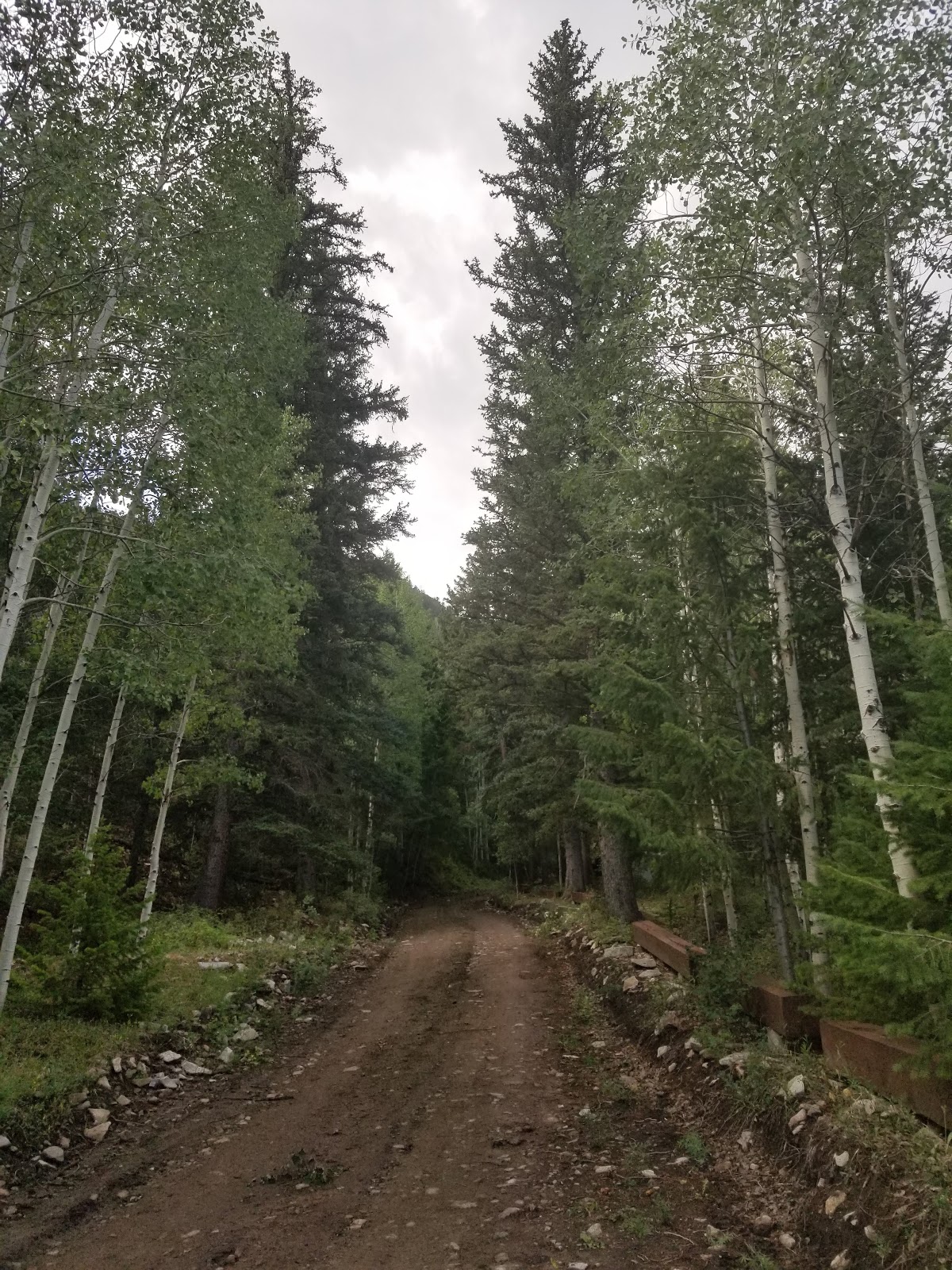 Lonesome Beaver Campground