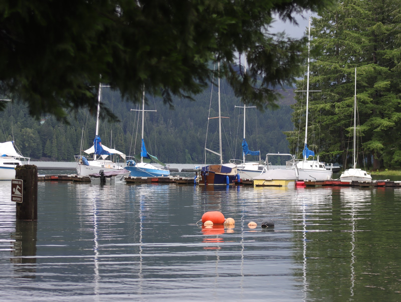 Baker Bay Campgrounds & Marina  a Lane County Park