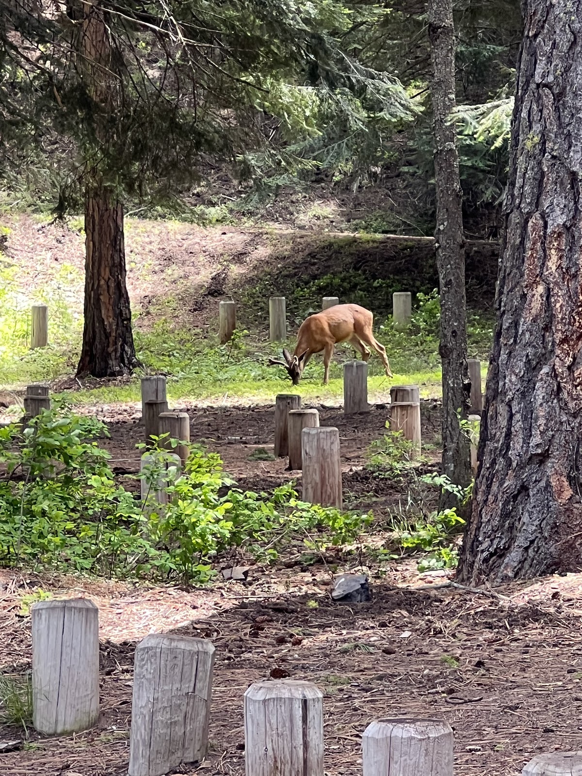 South Fork Group Campground