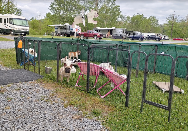 Cove Mountain RV Resort