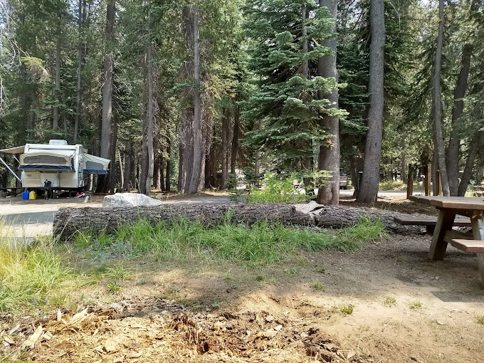 Pine Marten Campground