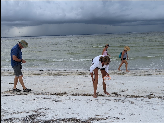 Anclote Key Preserve State Park