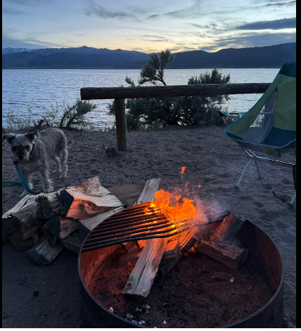 Bridgeport Reservoir Marina and Campground