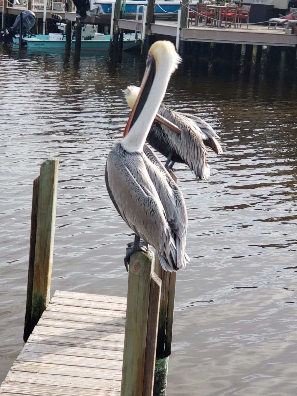 Backcountry Lopez River - Everglades National Park