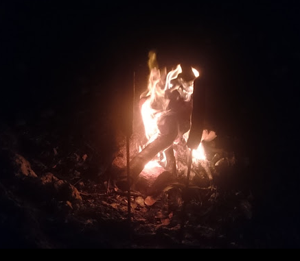 Larry and Penny Thompson Memorial Park Campground