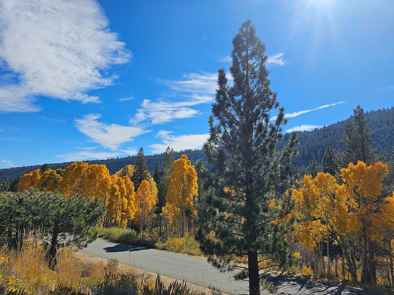 Hartley Springs Campground