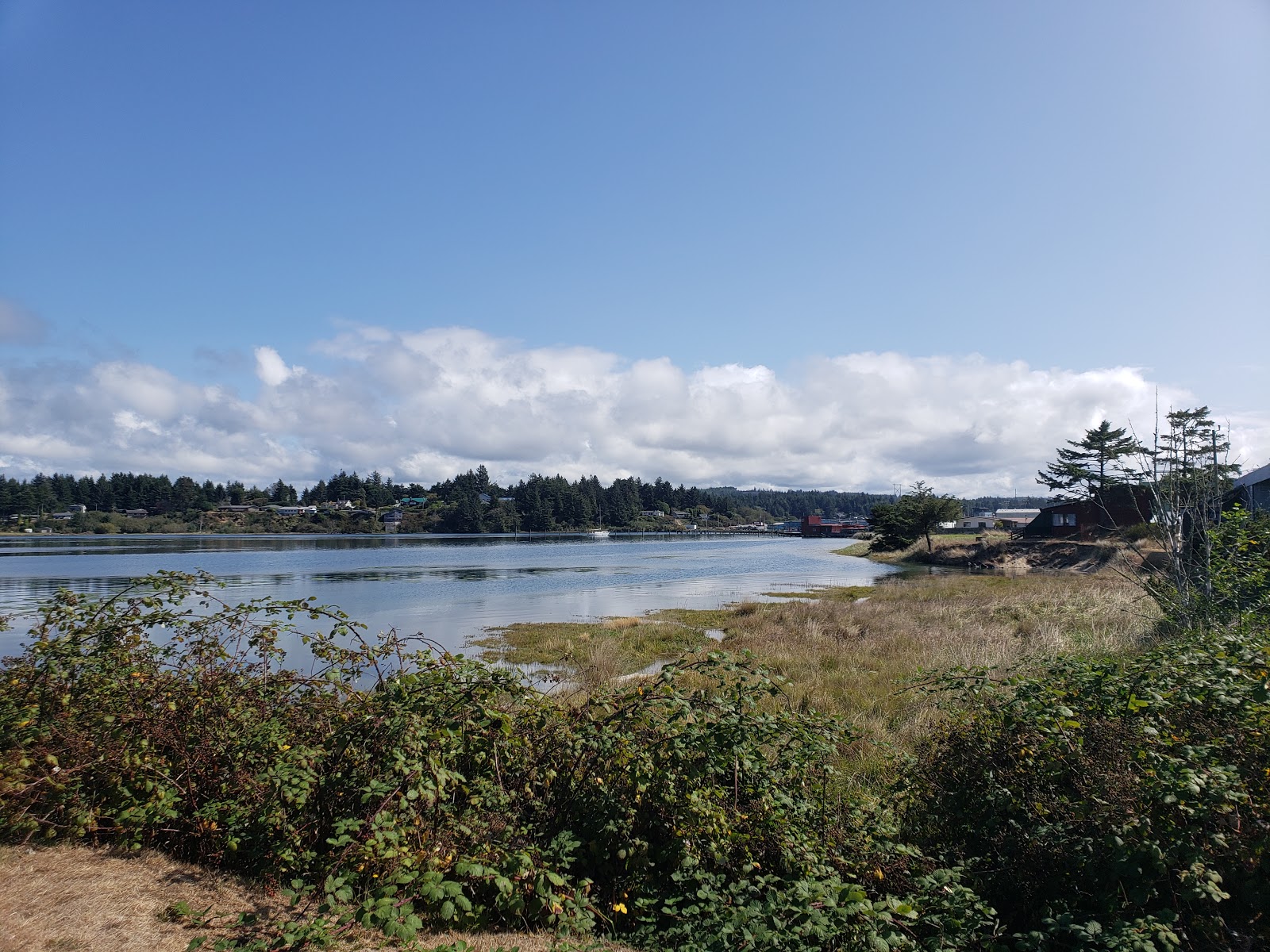 Charleston Marina RV Park