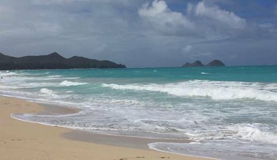 Bellows Field Beach Park