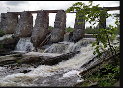 Moose River Campground