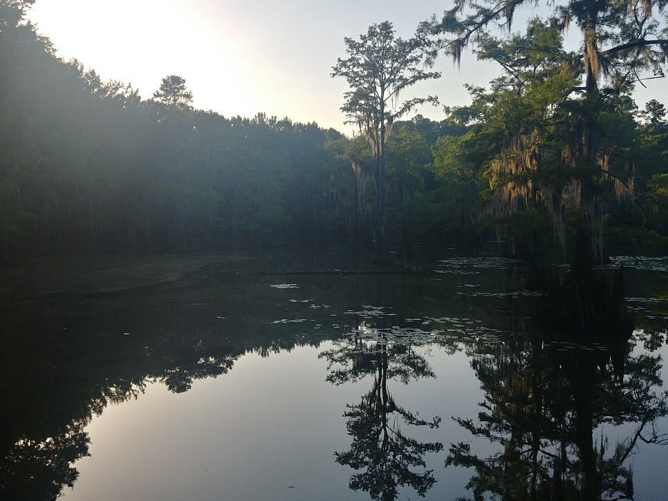 Caddo Lake State Park