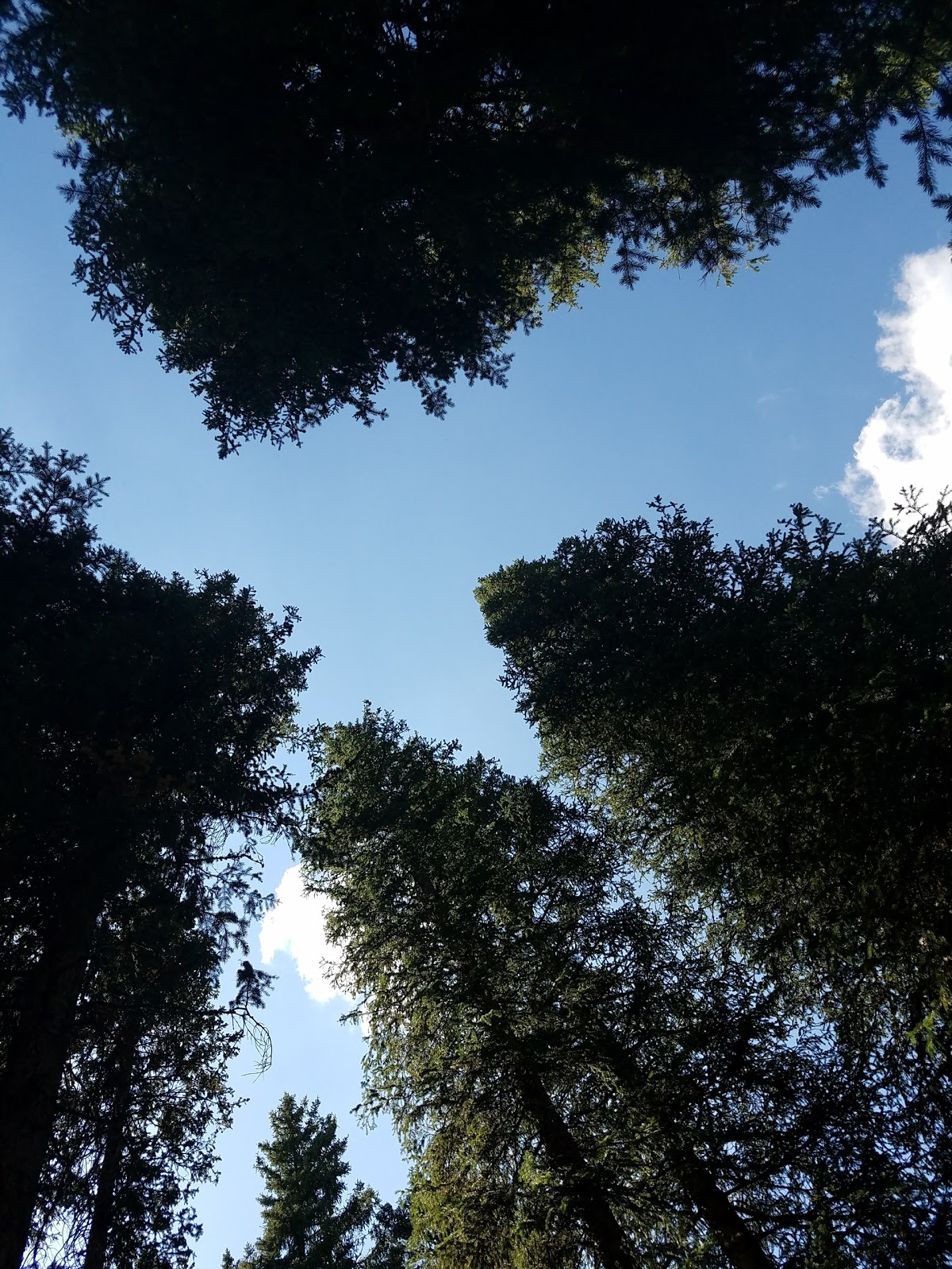 Meadow Ridge Campground