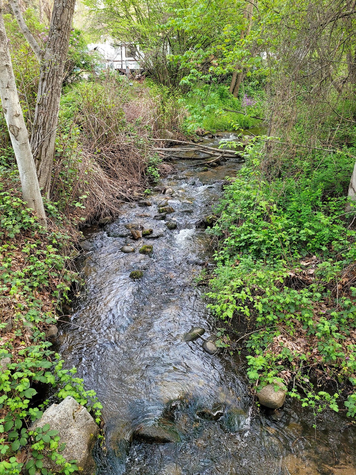 Ashland's Creekside Campground & RV Park