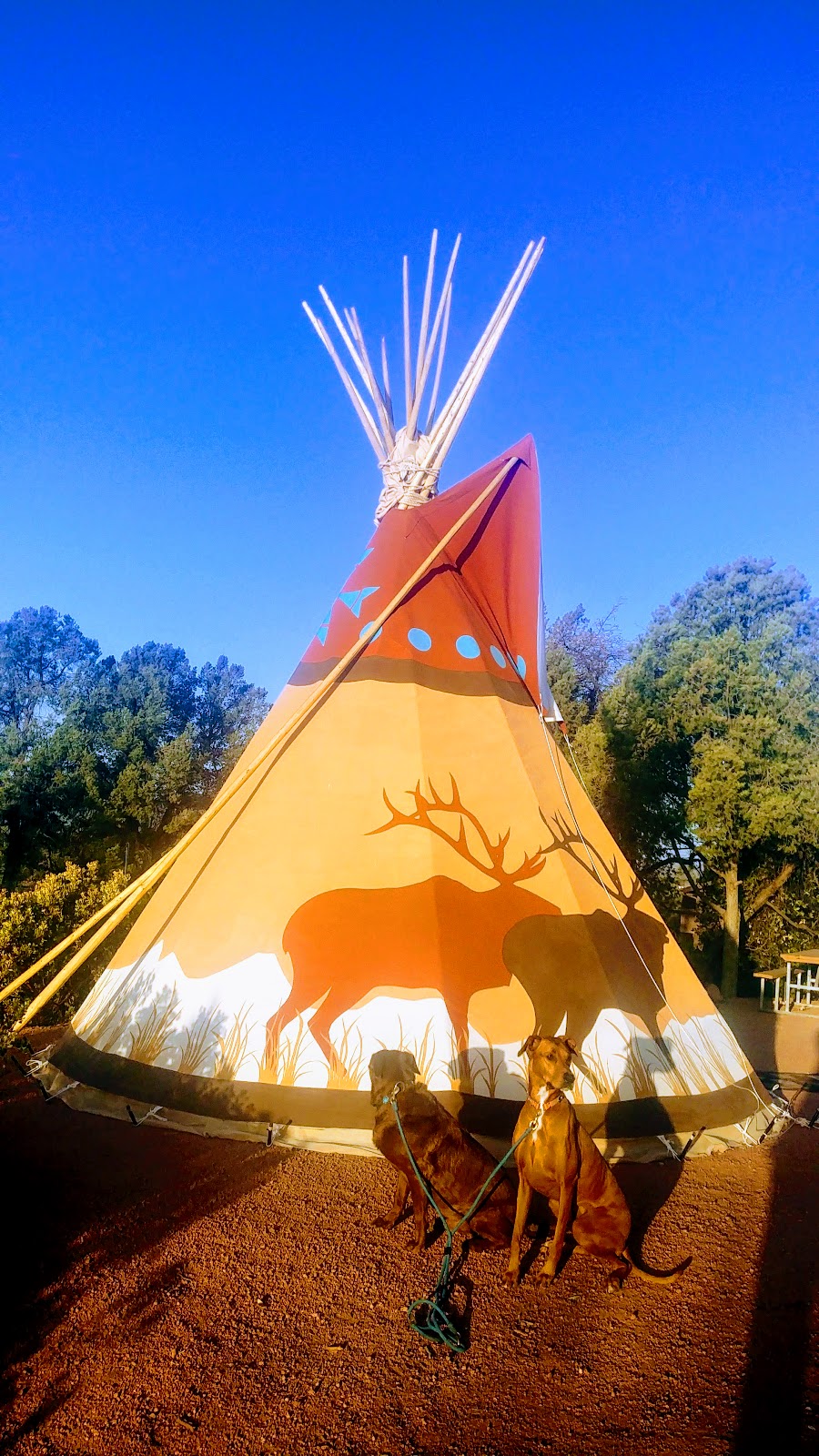 Payson Campground & RV Resort