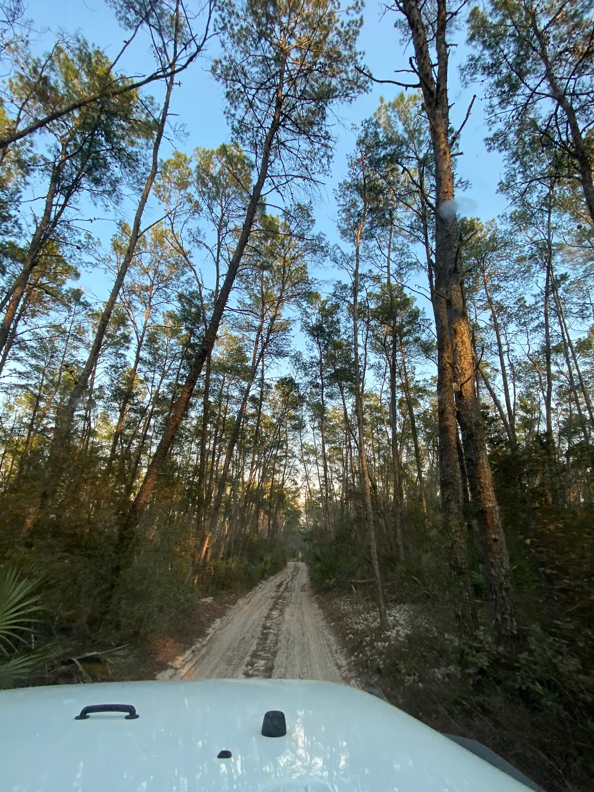 Big Scrub Campground