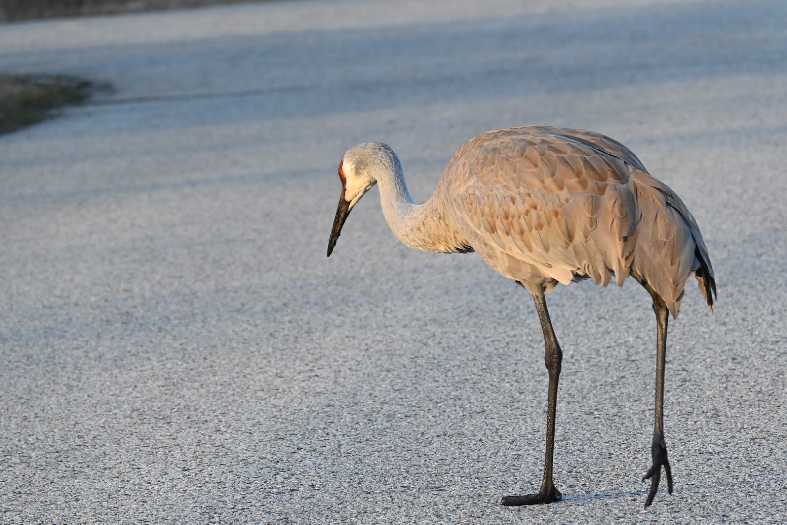 Ottawa Lake Campground Visitor Center