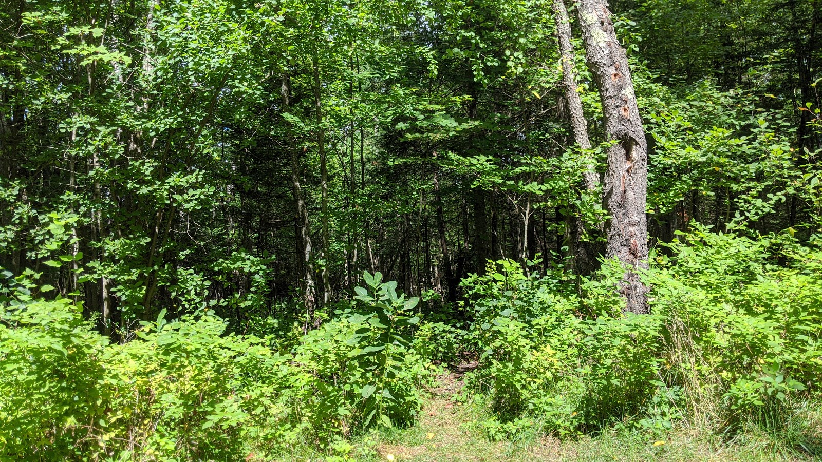 Graves Crossing Campground