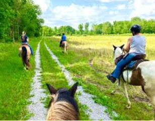 Middle Fork SFW Equestrian