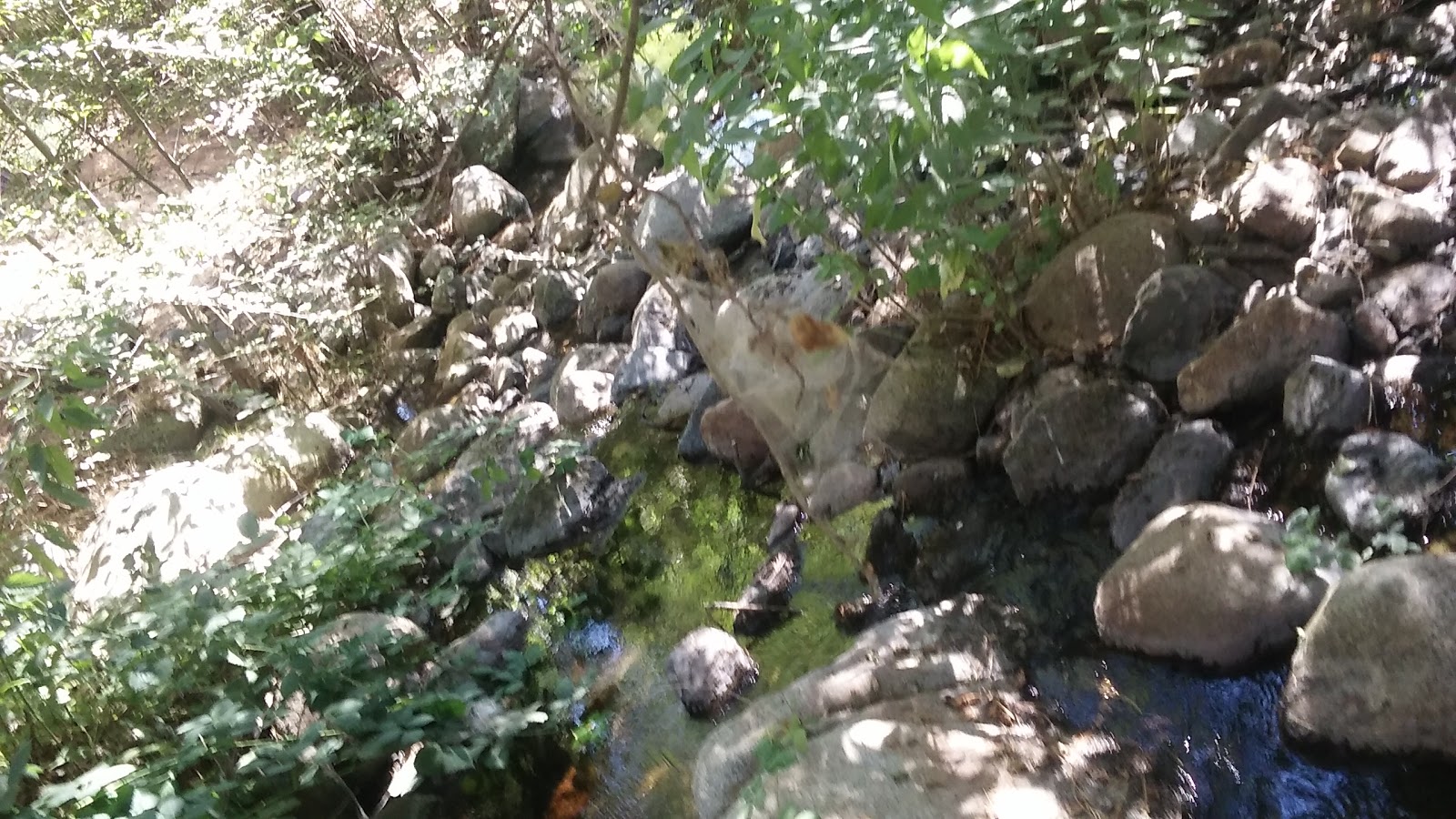 Alder Creek Campground