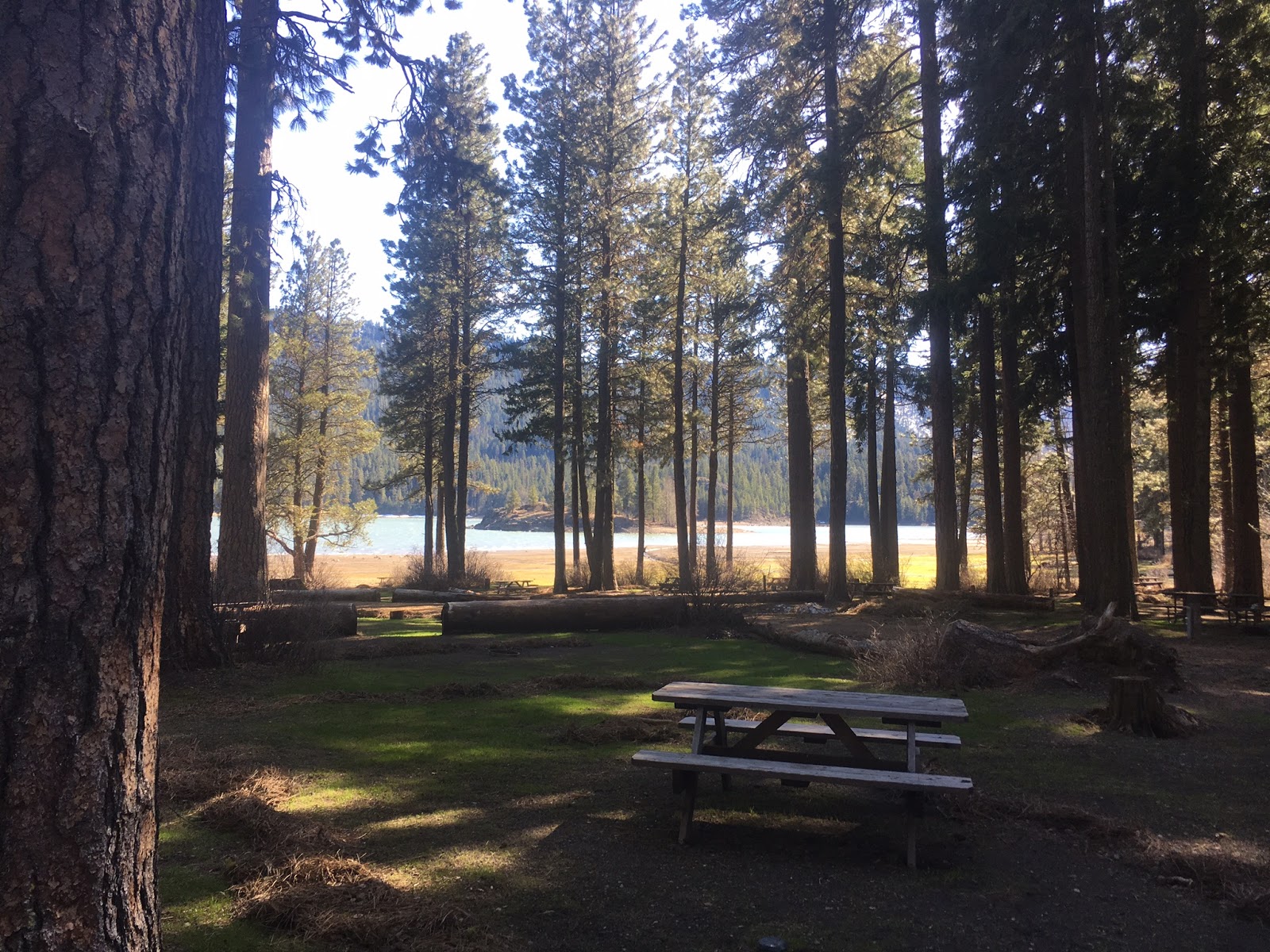 Silver Beach Resort LLC