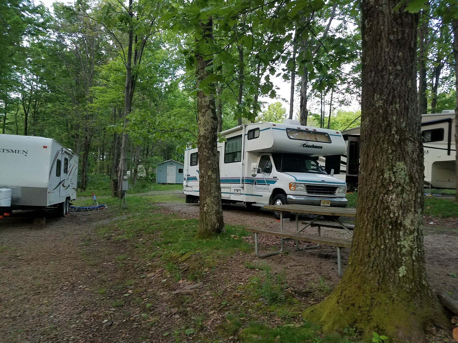 Pine Hill Campground & Cabins