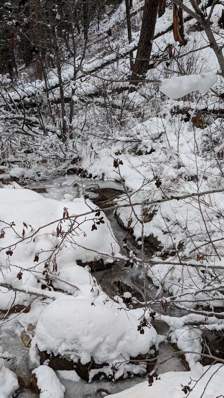 Rattlesnake Campground